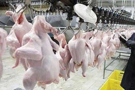 مرغ و گوشت مورد نیاز هیئات مذهبی مازندران تامین شد - خبرگزاری مهر | اخبار ایران و جهان