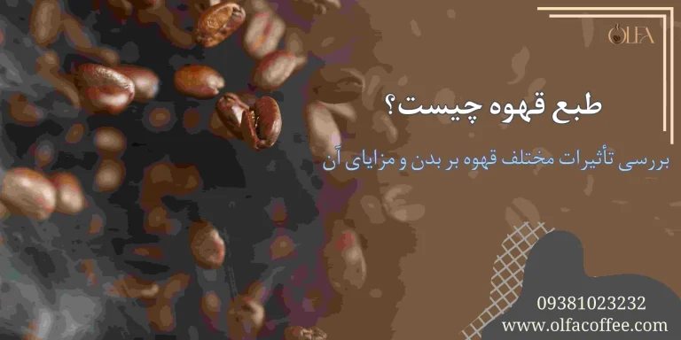طبع قهوه چیست؟ بررسی تأثیرات مختلف قهوه بر بدن و مزایای آن