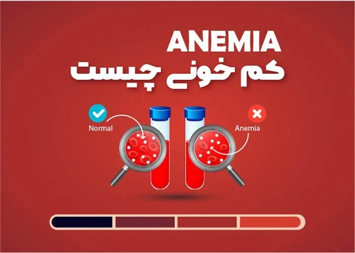 استان ها