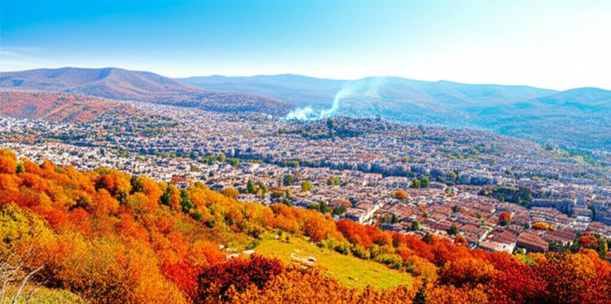 گردشگری